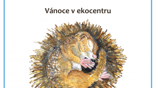 VÁNOCE V EKOCENTRU